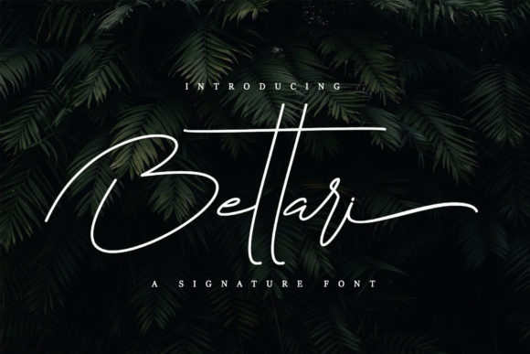 Designing with Bettari: A Script Font for Modern Elegance